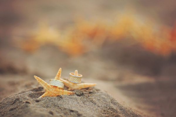 Outer Banks Wedding Planning Season at the Sea Ranch Resort, plan your outer banks wedding at the sea ranch