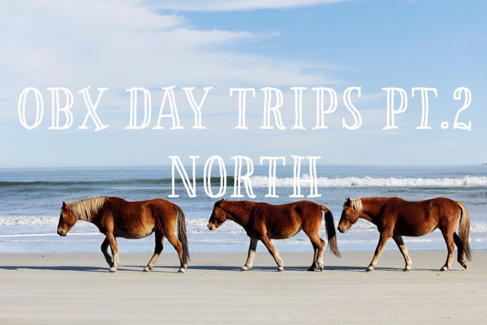 OBX Day Trips Part 2: North
