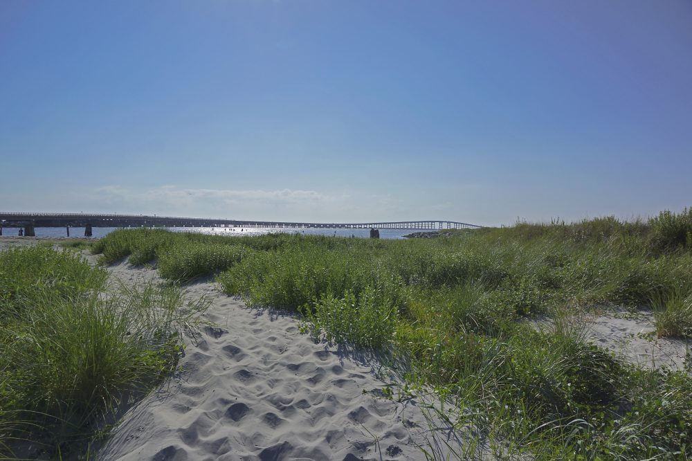 The Outer Banks of NC  The Perfect Family Friendly Beach Destination