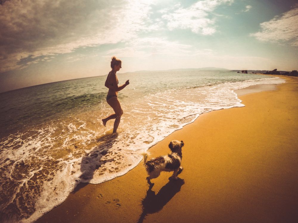 A girl and her best friend play near the Sea Ranch