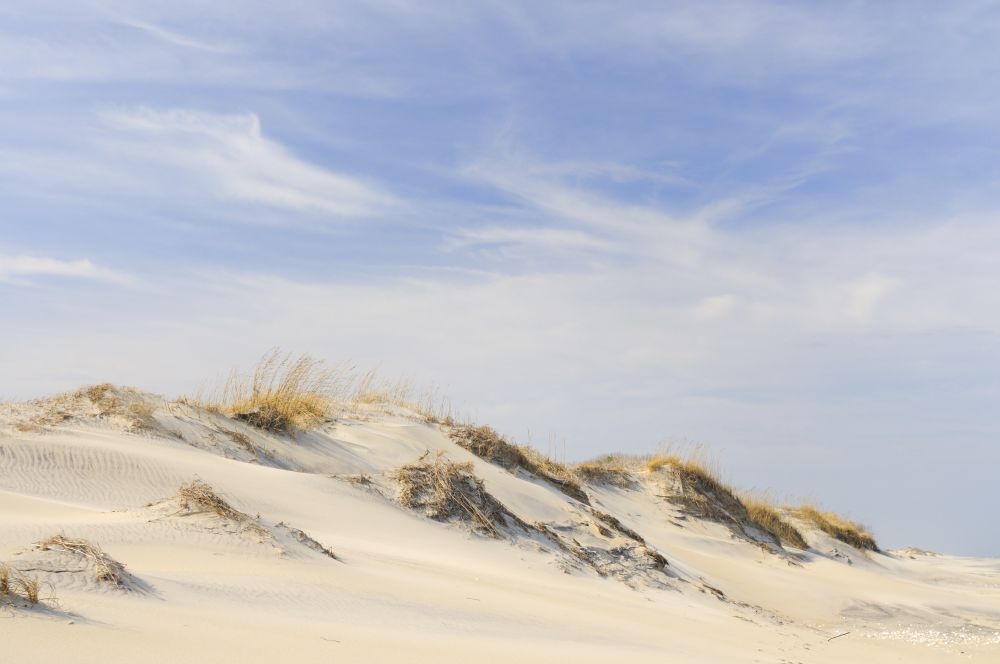 Sand Dunes near Nags Head, NC