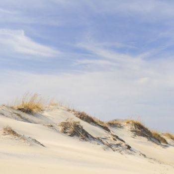 Sand Dunes near Nags Head, NC